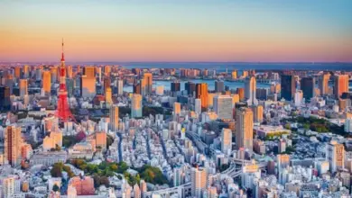 Pohled na Tokio s věží v západu slunce mezi mrakodrapy.