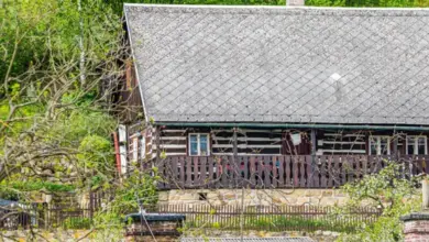 Dřevěný dům s zahradou v přírodním prostředí