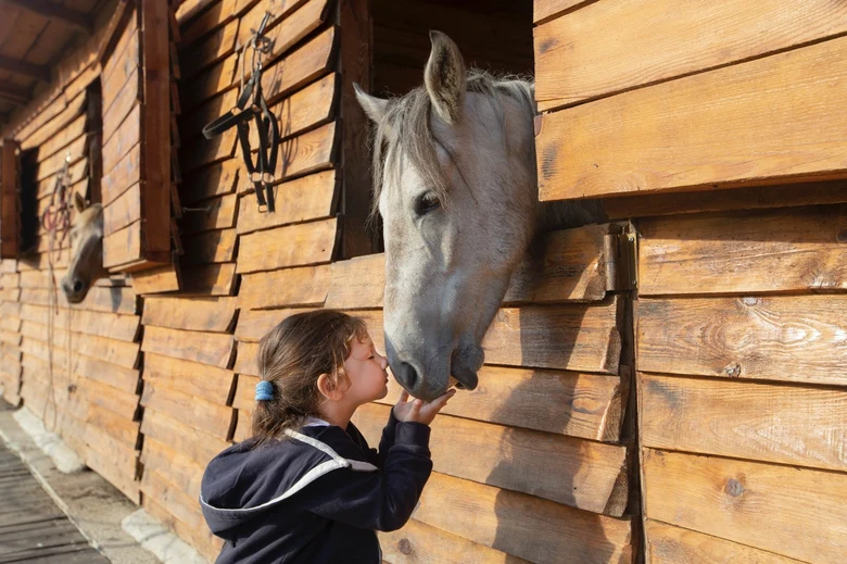 Dívka líbá nos šedého koně v dřevěné stájové boxu.