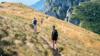 Dva turisté jdou po lesní cestě v horách.