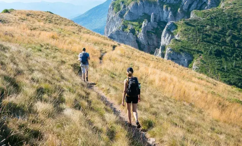 Dva turisté jdou po lesní cestě v horách.