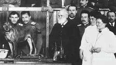 Ivan Pávlov s psy v laboratoři při svém slavném experimentu
