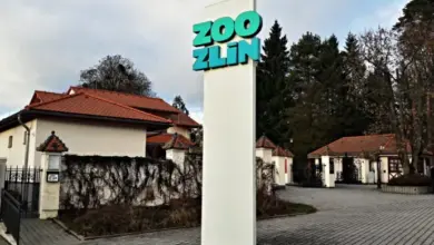 Vstupní brána do Zoologické zahrady ve Zlíne s výrazným logem.