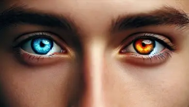 Human eyes with heterochromia