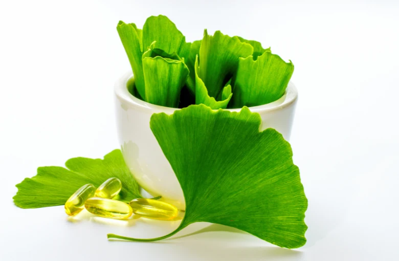 Čerstvé listy ginkgo biloba v misce s kapslemi doplnků.