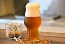 Sklenička piva s chmelem na dřevěném povrchu.