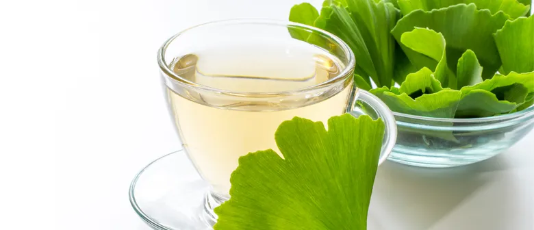 Sklenička čaje z listů Ginkgo biloba s misky čerstvých zelených lístků.