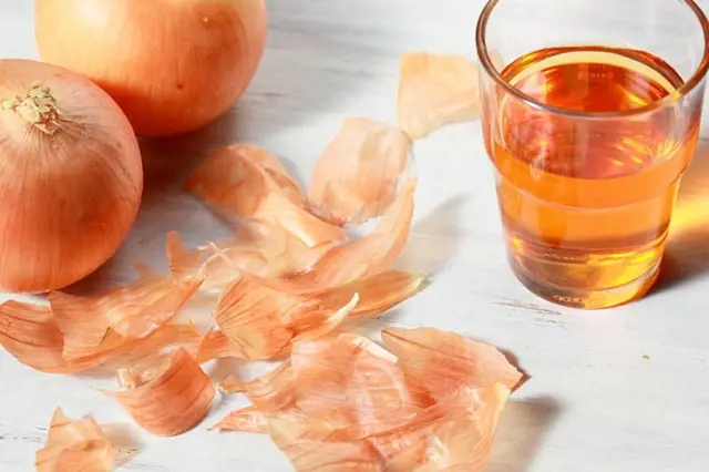 Cibule, cibulové slupky a sklenička s infuzí vodu.