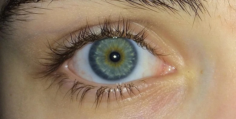 Lidské oko s centrální heterochromií - modro-zelená duhovka.