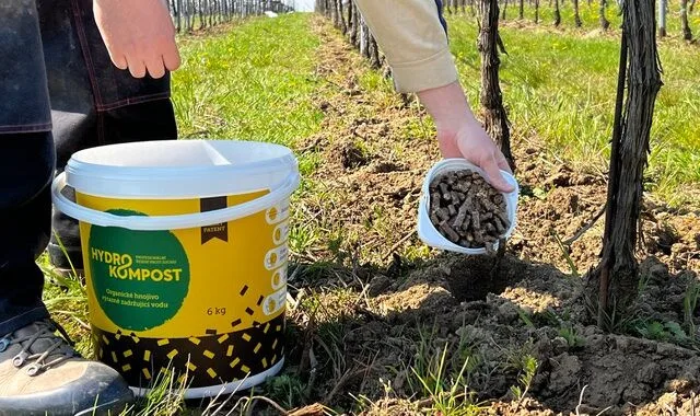 Osobnost aplikuje organický kompost mezi řadami vinné révy.