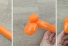 Krok za krokem tvarování oranžového balónku do tvary zvířete