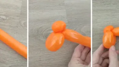 Krok za krokem tvarování oranžového balónku do tvary zvířete