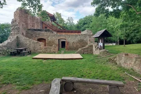 Castle ruins in park